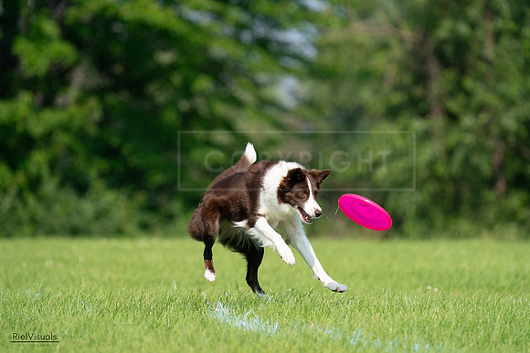RielVisuals_20240727_095817_SJR08130