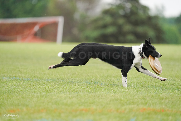 RielVisuals_20240527_111601_SJR03593