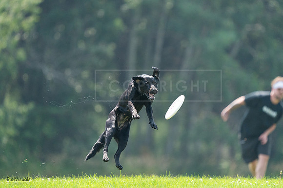 RielVisuals_20240727_121805_SJR05253