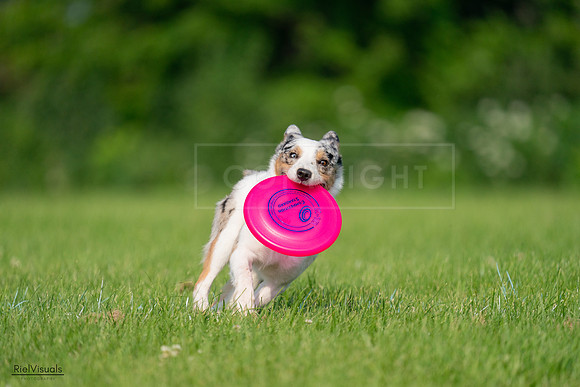 RielVisuals_20240727_092235_SJR06092