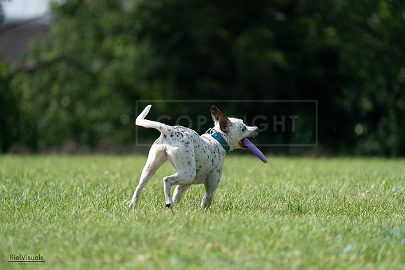 RielVisuals_20240728_151519_SJR00386