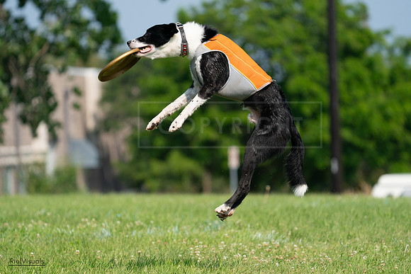 RielVisuals_20240728_101539_SJR07563