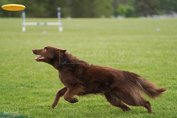 RielVisuals_20240526_094205_SJR00823