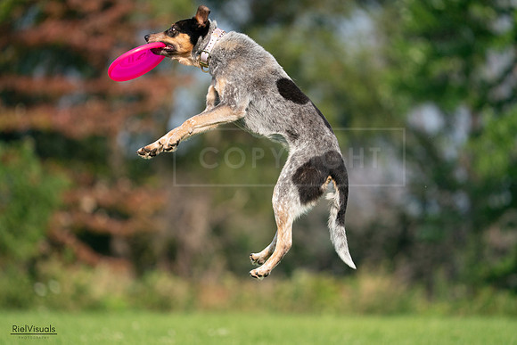 RielVisuals_20240727_093848_SJR07042