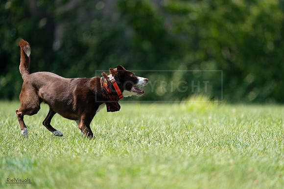 RielVisuals_20240728_151027_SJR00223