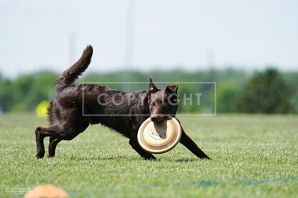 RielVisuals_20240525_120805_SJR08765