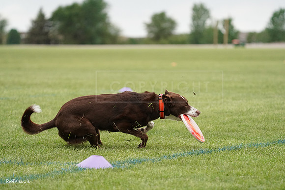 RielVisuals_20240526_131302_SJR07175