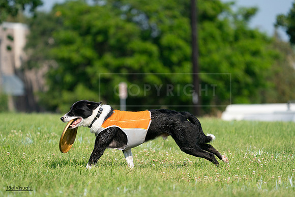 RielVisuals_20240728_101547_SJR07577