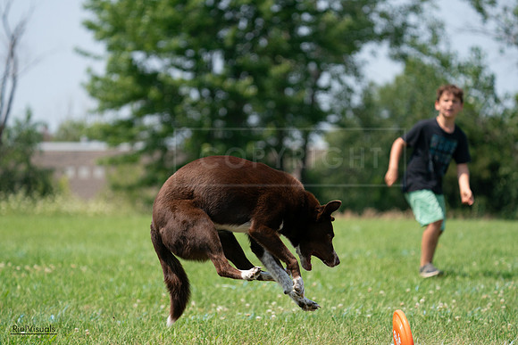 RielVisuals_20240727_135140_SJR08743