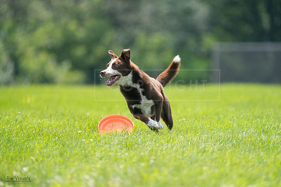 RielVisuals_20240728_135821_SJR07687