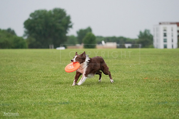 RielVisuals_20240527_091341_SJR06518