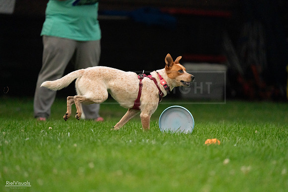 RielVisuals_20240722_201447_SJR03328