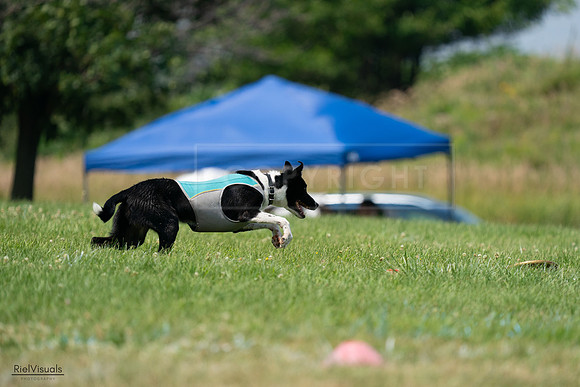 RielVisuals_20240727_135549_SJR08945