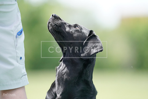 RielVisuals_20240525_121026_SJR08962