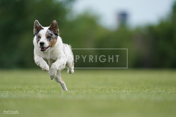 RielVisuals_20240525_161238_SJR03817