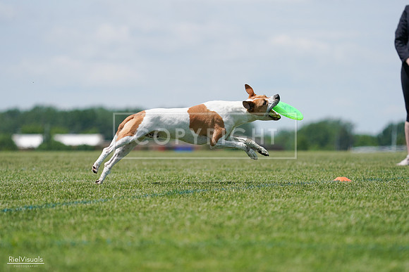 RielVisuals_20240525_121759_SJR09365