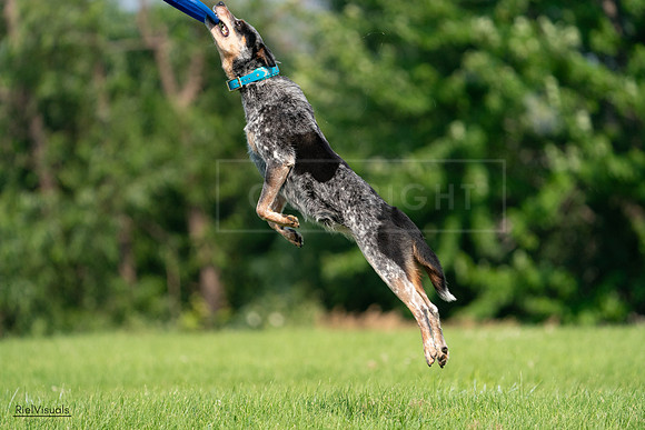 RielVisuals_20240727_094819_SJR07582