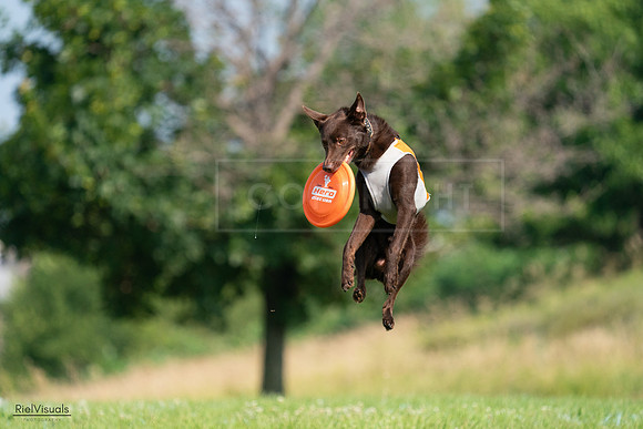 RielVisuals_20240728_095927_SJR06920