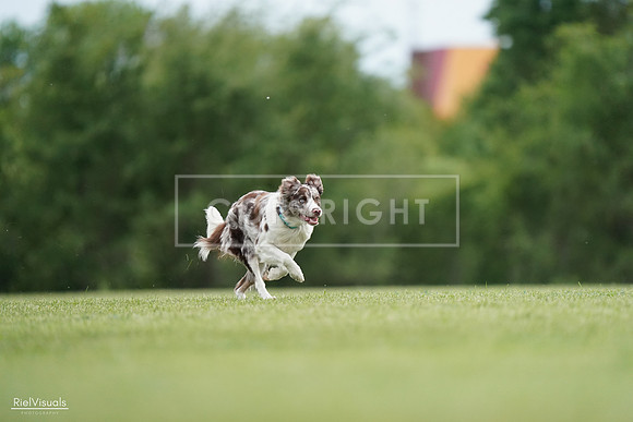 RielVisuals_20240525_161037_SJR03624