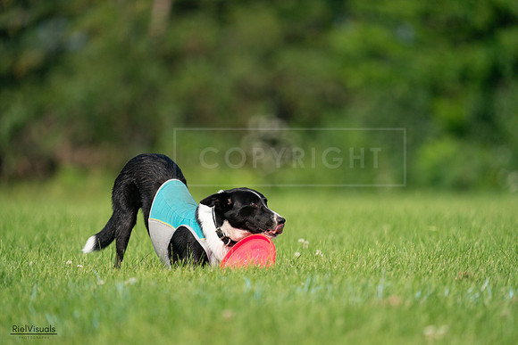 RielVisuals_20240727_094234_SJR07338