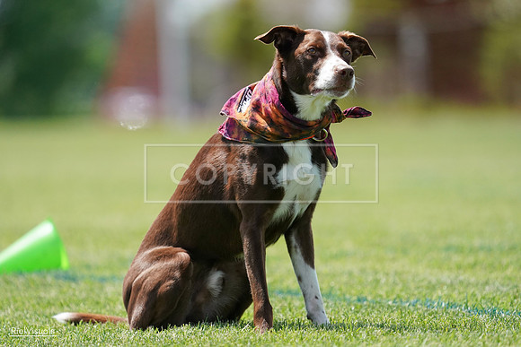 RielVisuals_20240525_121920_SJR09447