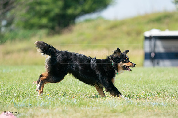 RielVisuals_20240728_143208_SJR08454