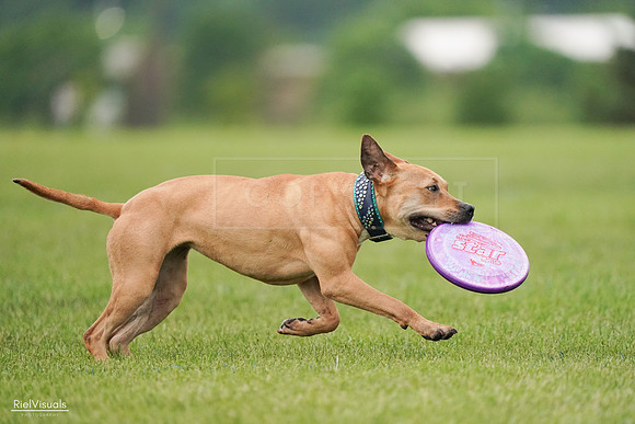 RielVisuals_20240527_111213_SJR03433