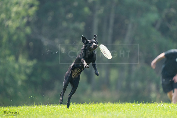 RielVisuals_20240727_121805_SJR05252