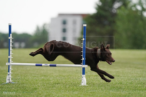 RielVisuals_20240526_091057_SJR09402