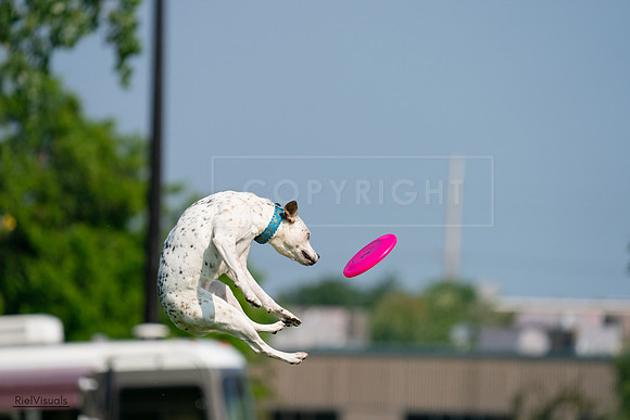 RielVisuals_20240727_095413_SJR07961