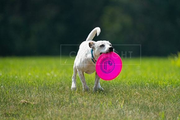 RielVisuals_20240727_120959_SJR04907