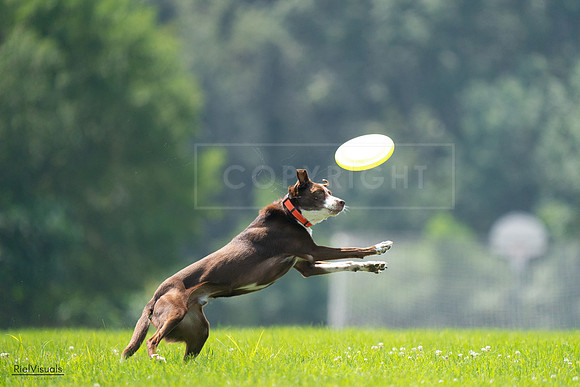 RielVisuals_20240727_123242_SJR05824