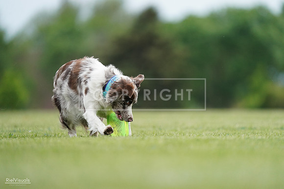 RielVisuals_20240525_161121_SJR03765