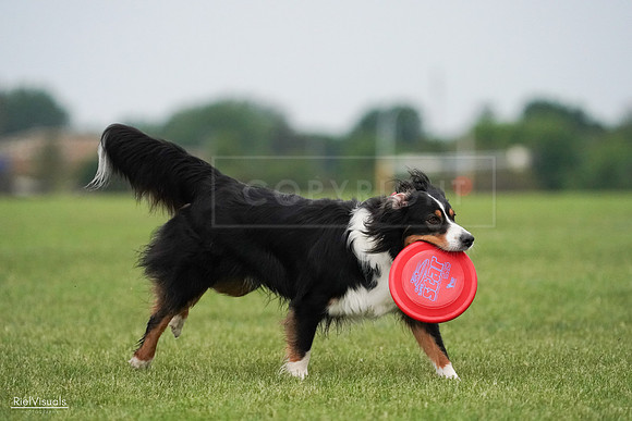 RielVisuals_20240527_091853_SJR06782