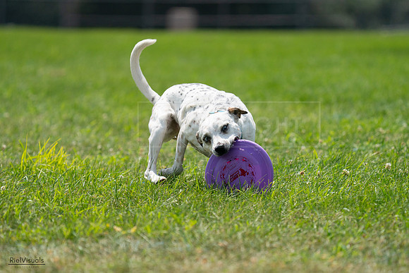 RielVisuals_20240728_140022_SJR07770