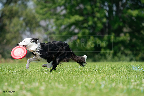 RielVisuals_20240727_114846_SJR04033