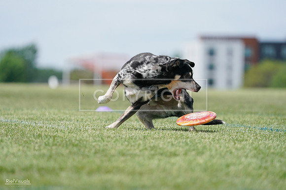 RielVisuals_20240525_123144_SJR00241