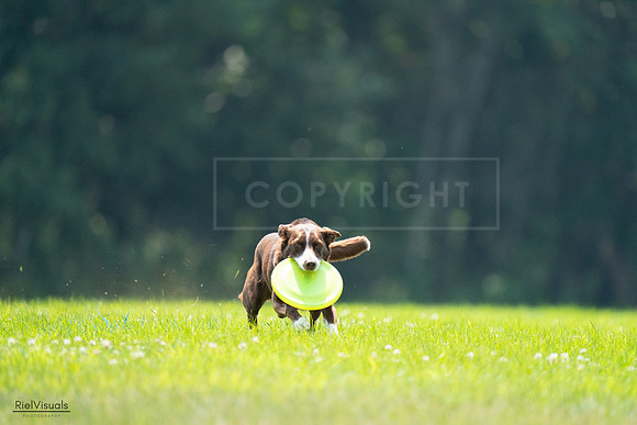 RielVisuals_20240727_123142_SJR05735