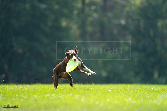 RielVisuals_20240727_123201_SJR05754