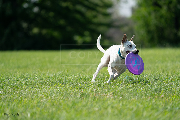 RielVisuals_20240728_151531_SJR00415