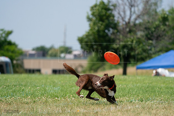 RielVisuals_20240727_140950_SJR09741
