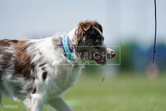 RielVisuals_20240525_120633_SJR08717