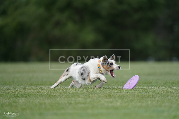 RielVisuals_20240525_090709_SJR09596