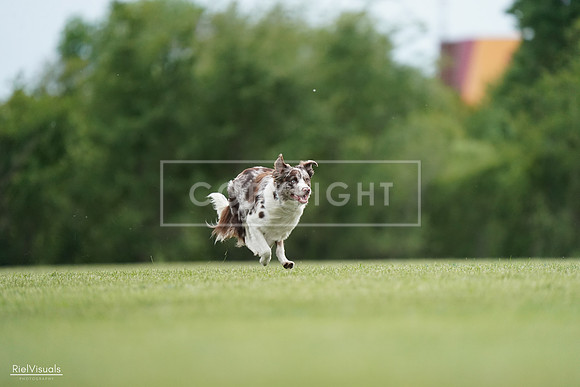 RielVisuals_20240525_161037_SJR03623