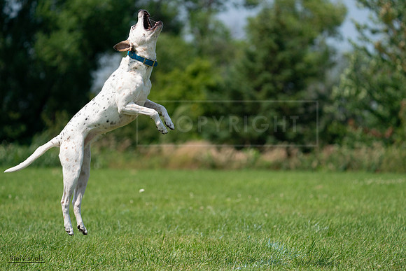 RielVisuals_20240728_120548_SJR02845