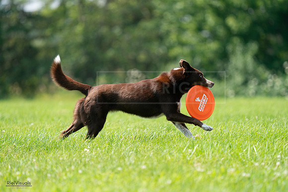 RielVisuals_20240727_135128_SJR08720