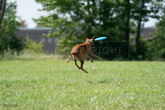 RielVisuals_20240728_150203_SJR09849
