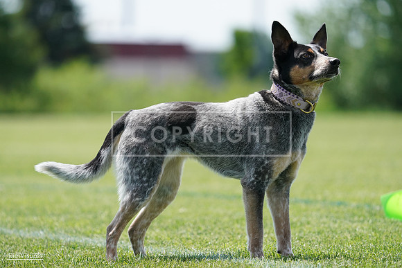 RielVisuals_20240525_122223_SJR09610