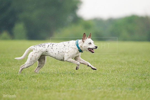 RielVisuals_20240527_105833_SJR02439