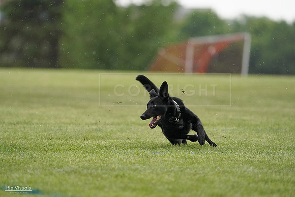 RielVisuals_20240526_092325_SJR09848